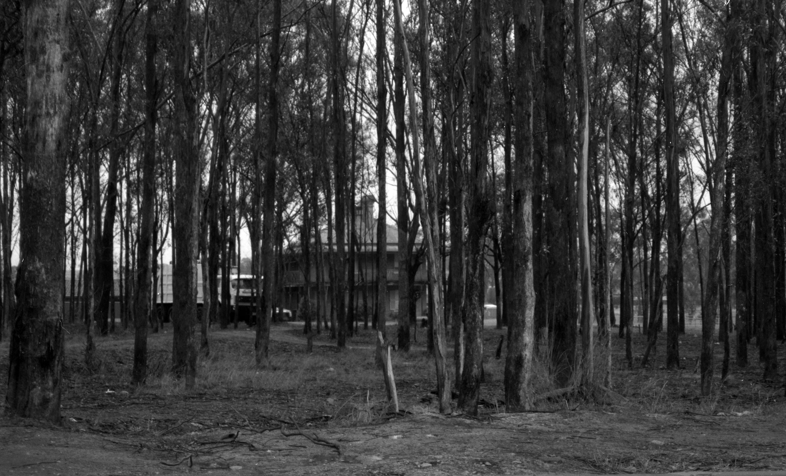 The Oaks - 1991